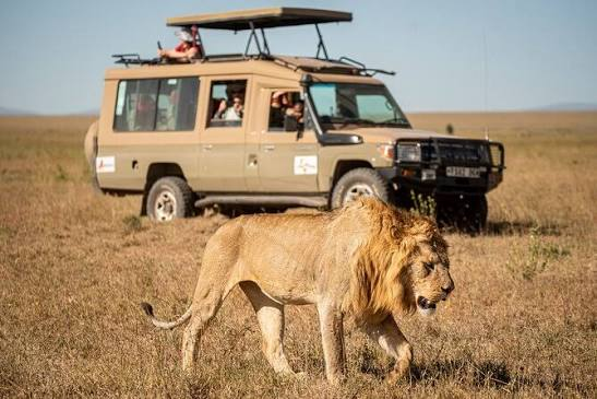 Maasai Mara